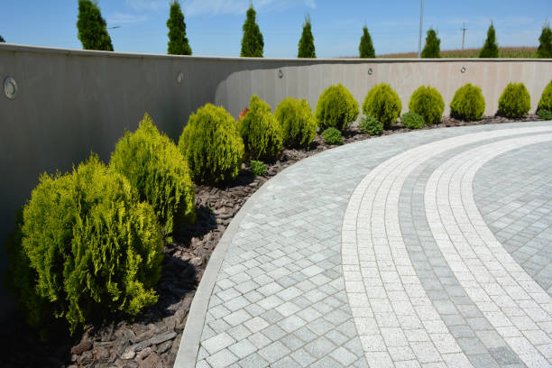 Best Driveway Pavers Contractor  in Chickasha, OK